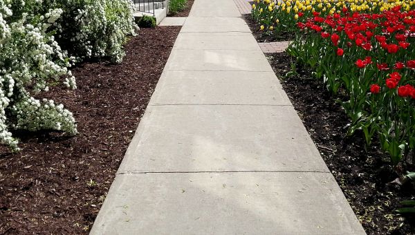 Cost of Sidewalk Slab Replacement in Baytown
